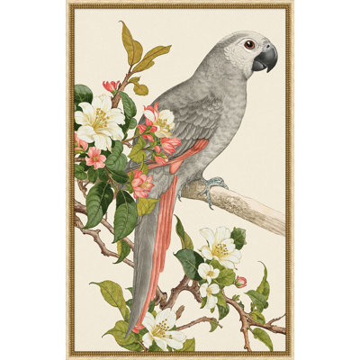 Chatter & Charm 1