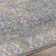 Benavidez Washable Oriental Indoor Rug