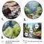 Forêt de Bettzel, parc national Redwood II - reproduction-1595886173-1595886174