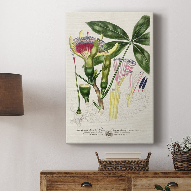 Imperial Tropical Botanical II - galerie Cavas sur mesure, H 27 po x l 18 po