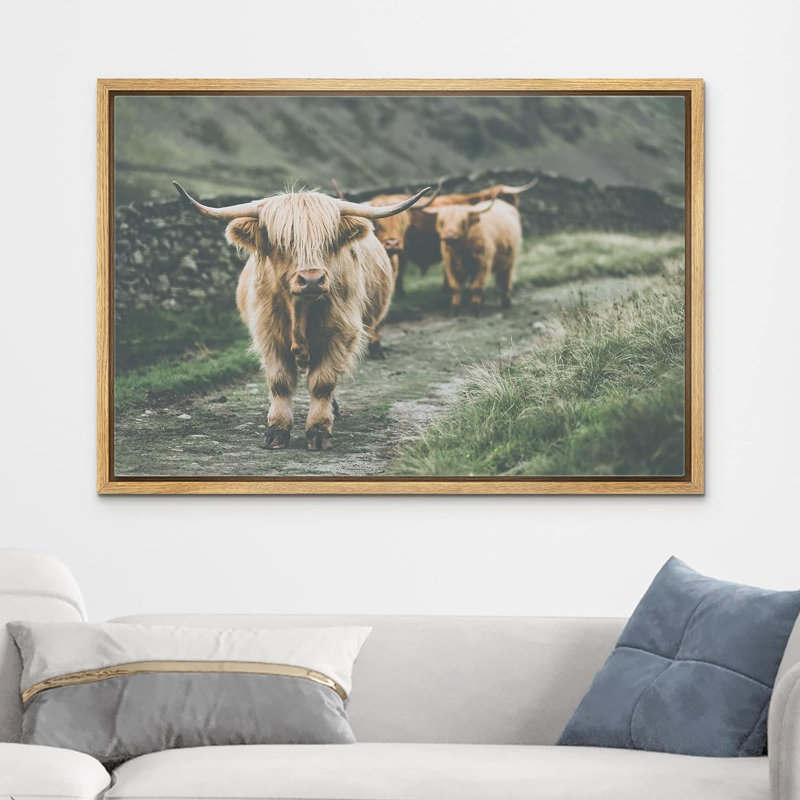 Animaux lavés en Écosse Highland Country Cow, Cadre naturel, H 24 po x l 36 po x P 1,5 po