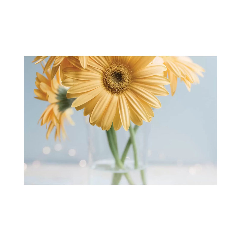Chelsea Victoria - Wrapped Canvas Print, 20.32 cm H x 30.48 cm W