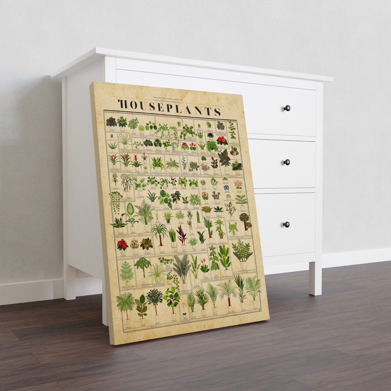 Houseplants Gallery, toile tendue - Illustration de plante, beige et vert, H 36 po x l 24 po x P 2 po