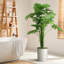 Plantes artificielles artificielles en pot Philodendron artificiel d'intérieur et d'extérieur-97703992-138916952