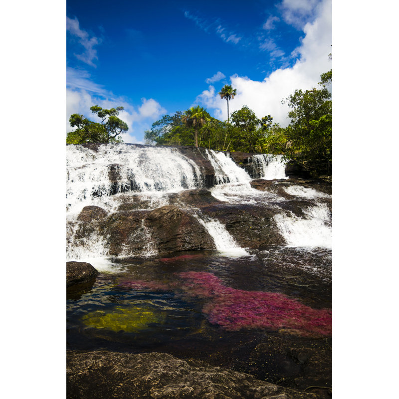 Kwan Cano Cristales - Wrapped Canvas Print, 46cm H x 30cm W x 3.8cm D