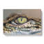 Crocodile Eye - Wrapped Canvas Print-55317149