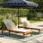 Scheiner 24'' Outdoor Acacia Chaise Lounge-507722089