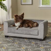 Wayfair  La-Z-Boy Dog Beds You'll Love in 2023