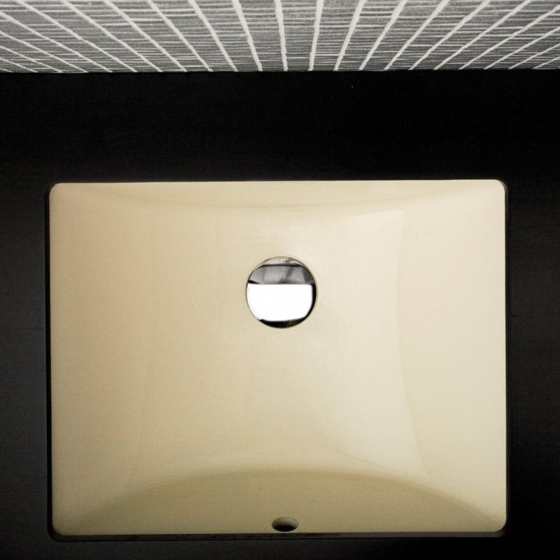 Spring 19.25'' L Bathroom Sink, Biscuit