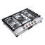 30" Natural Gas Cooktop with 5 Burners-100170008