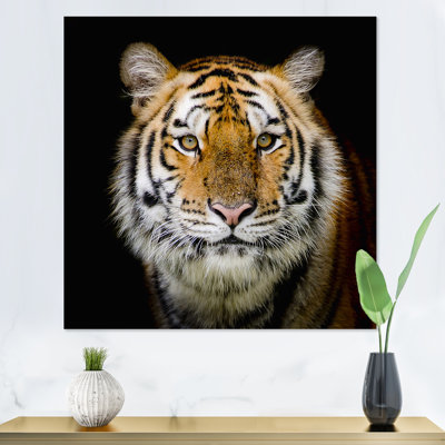 Portrait d'un tigre adulte - reproduction d'art sur toile traditionnelle