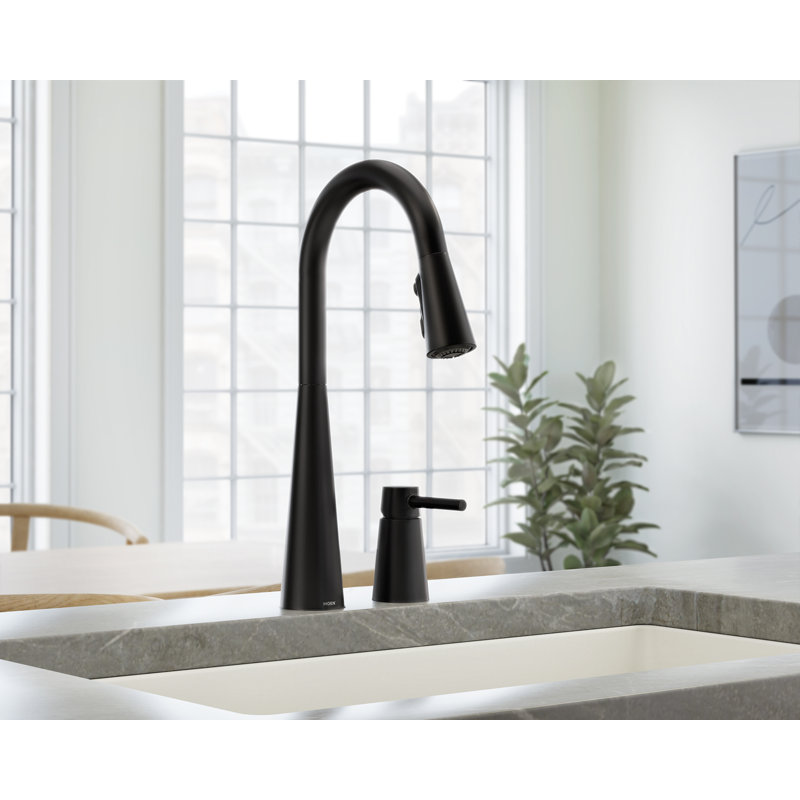 Sleek High Single Handle Kitchen Faucet, Matte Black