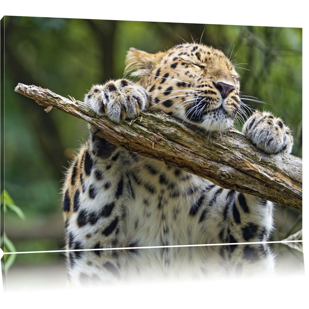 Leinwandbild Verspielter Leopard