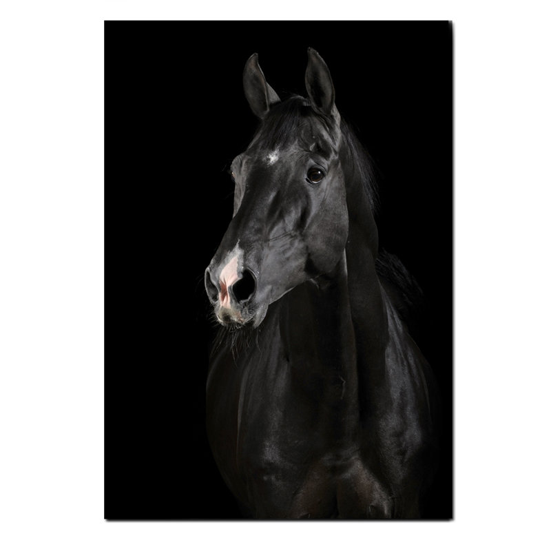 Black Horse Face Print, 60" H x 40" W x 1.5" D