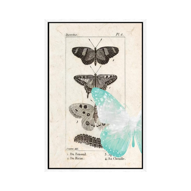 Field Guide II 1 Piece Wall Art on Canvas, 101.6cm H x 66.04cm W x 3.81cm D, White Framed