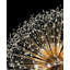 Lustre en cristal Luxe Starburst-264115064-187061048-187061046