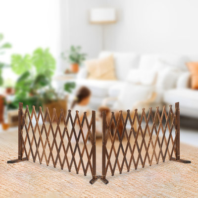 Extendable Instant Fence