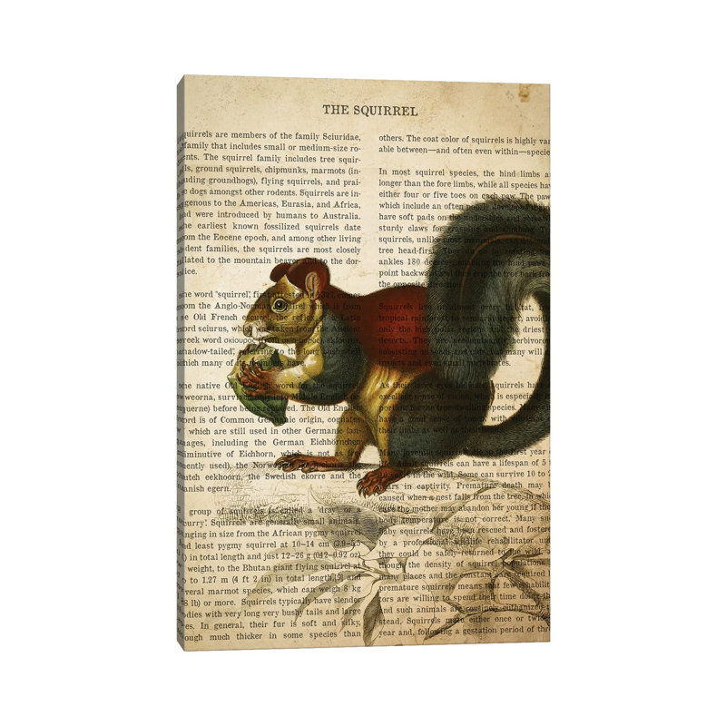 Vintage Squirrel Print by Aged Pixel - No Frame Gallery-Wrapped Canvas Giclée on Canvas, 30.48cm H x 20.32cm W