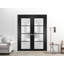 Portes françaises doubles solides | Verre givré Planum 2132 | Garnitures de cadre en bois massif | Portes robustes de chambre à coucher pour garde-robe-109698896-109698889