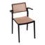 dining chair-1711176690
