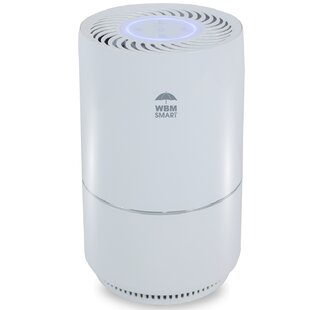https://assets.wfcdn.com/im/51794909/resize-h310-w310%5Ecompr-r85/1286/128625150/wbm-smart-air-purifier-3-stage-filtration-with-hepa-filter-for-1440-cubic-feet.jpg