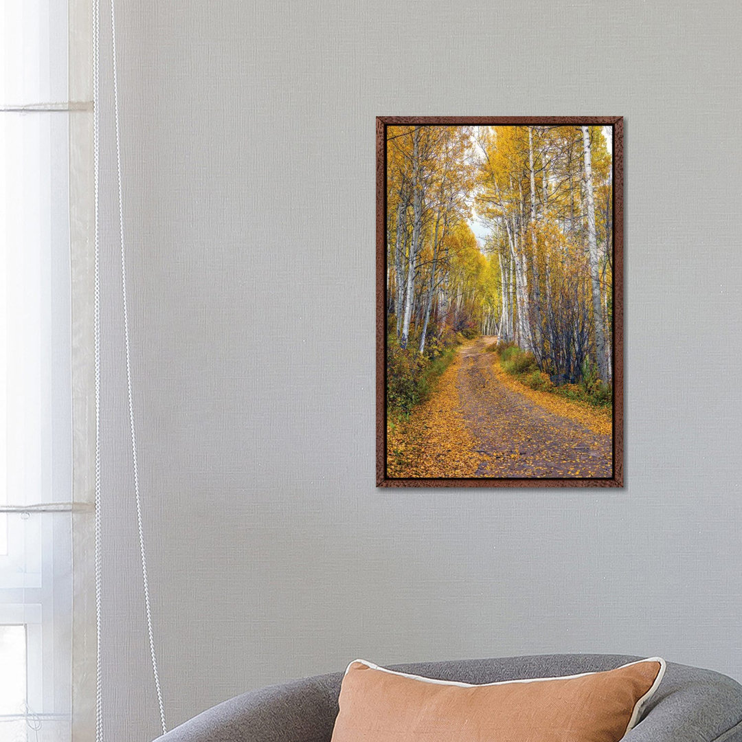 Herbst in Aspen Colorado von Susanne Kremer - Galerie-verpackte Leinwand Giclée auf Leinwand