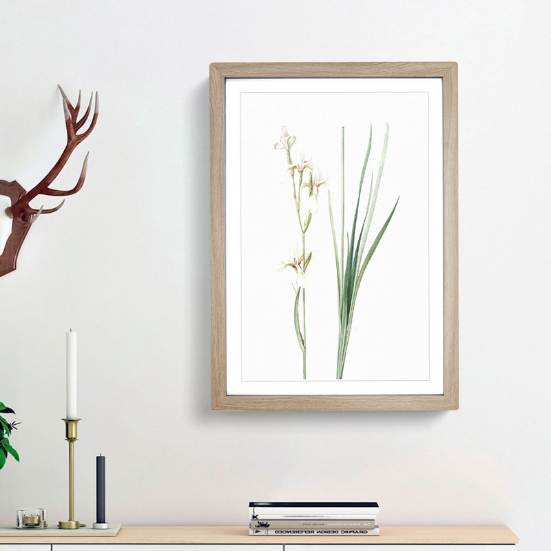 Siberian Iris Flowers by Pierre-Joseph Redoute - Picture Frame Painting Print, Oak Framed, 65cm H x 48cm W x 2cm D