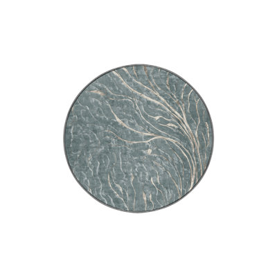 Machine Washable Gray Area Rug
