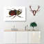 Typhon Beetle by George Shaw - Wrapped Canvas Painting-55330705