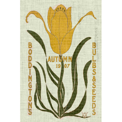 Ensembles de graines de fleurs I