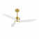 Gianick Ceiling Fan with LED Lights