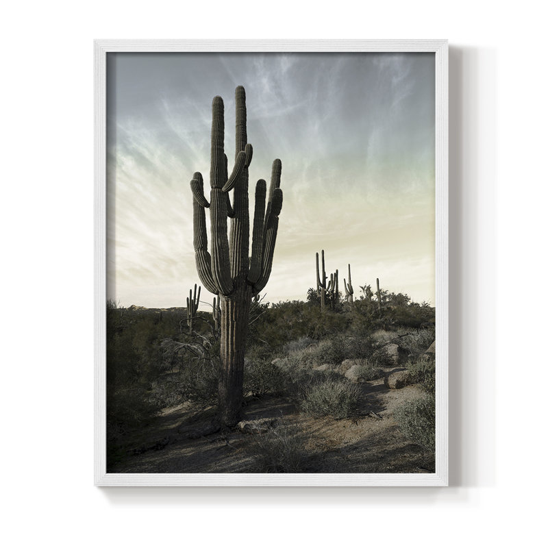 «King of the Desert», reproduction encadrée - bois massif, Blanc, H 14 po x l 11 po