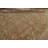Wool Oriental Rug