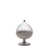 Transparent / Blanc est en rupture de stock