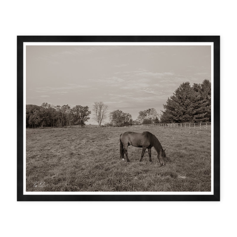 Grazing I par Tim Klein - Photographie avec cadre photo