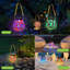 Lizette Solar Powered Outdoor Lantern