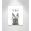 Le lapin est courage-48187577-48187580
