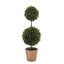 24" Artificial Boxwood Plant in Topiary Pot