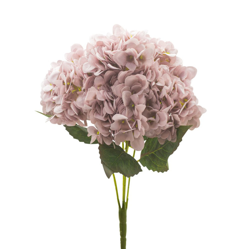 Hydrangea Arrangement