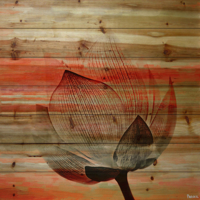 Parvez Taj - Wrapped Canvas Print, 61cm H x 61cm W