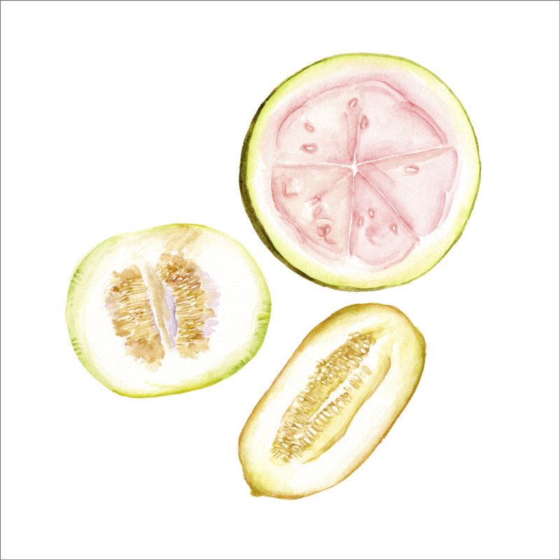 «Love Me Fruit I», peinture sur toile, H 20 po x l 20 po