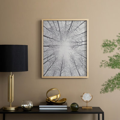 Deciduous Canopy II Framed Print - Solid Wood