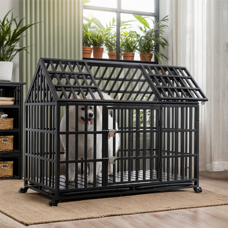 Chenil en métal robuste avec cage et cage avec 4 roues verrouillables