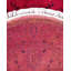 Cogburn One-of-a-Kind 3' 1" X 4' 7" Hand Knotted Area Rug