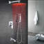 Ensemble de douche en acier inoxydable Perlude