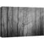 "Mystical Winter Woods, noir et blanc, arbres dénudés dans le brouillard, paysage naturel, illustrations, chic moderne" sur-99543318