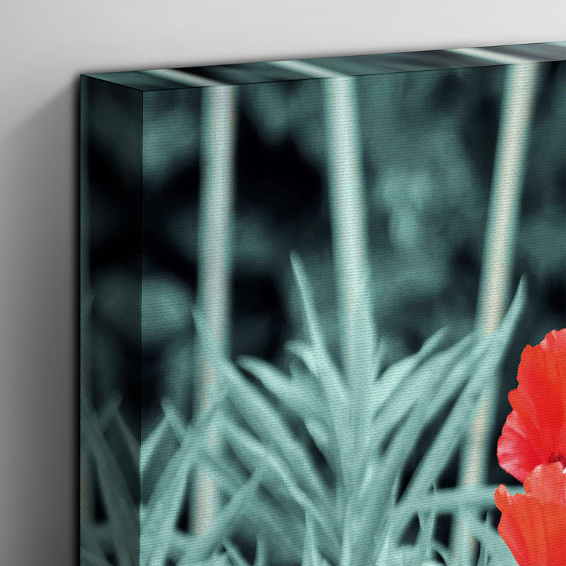 Wrapped Canvas Print, 40cm H x 60cm W