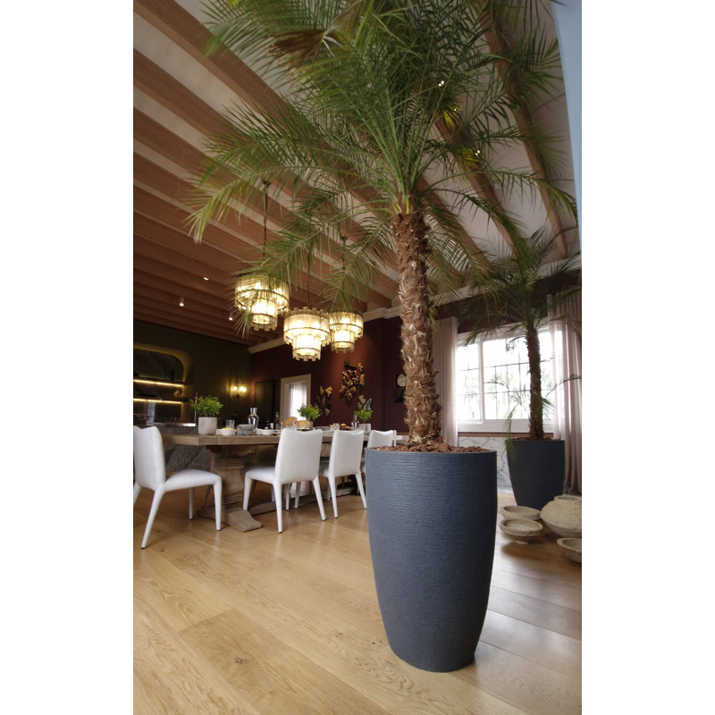 Pot à fleurs en plastique Mccasland, Gris anthracite, H 17,3 po x l 11,8 po x P 11,8 po