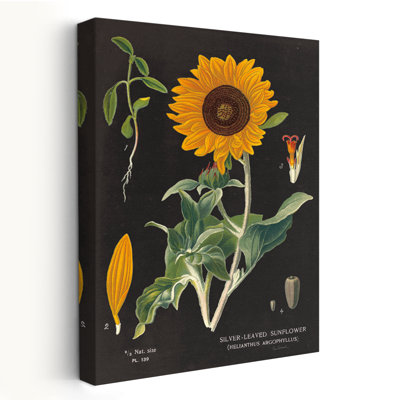 Tableau de tournesol rétro et bohémien V2