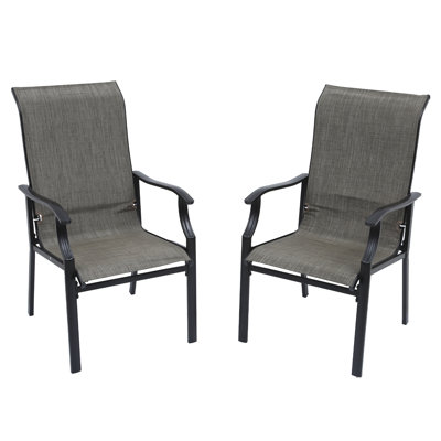 Patio Dining Chair (Set Of 2) by Winston Porter